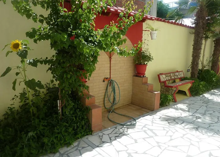 White Rose Olympiakí Aktí