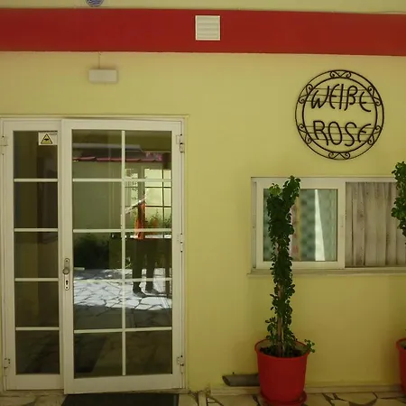 Отель White Rose *