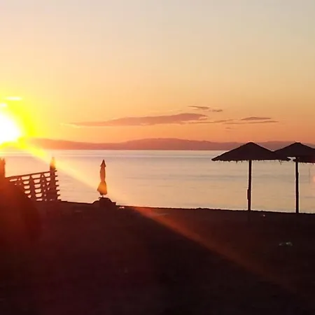 White Rose * Олимпиаки-Акти