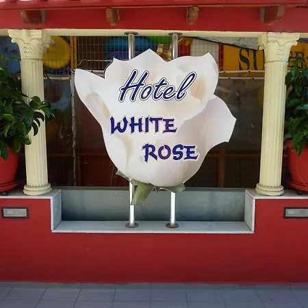 Отель White Rose