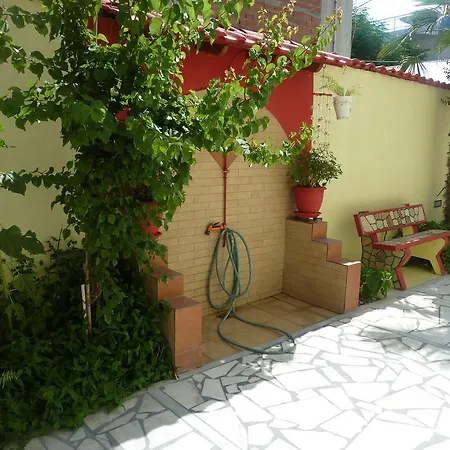 White Rose Олимпиаки-Акти