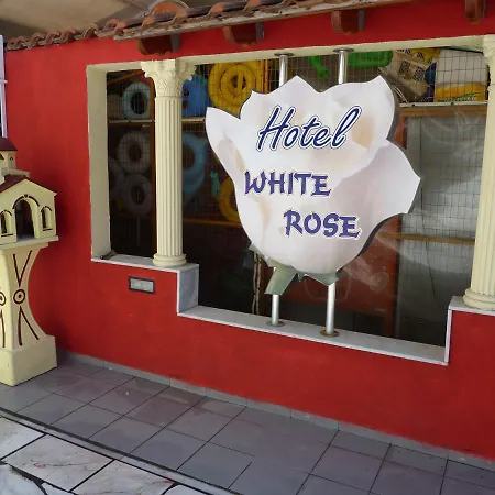 White Rose