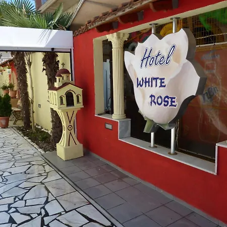 White Rose *