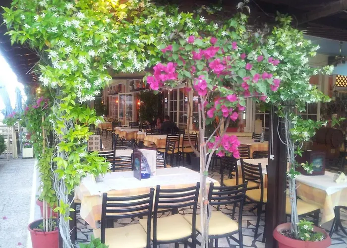 White Rose Olympiakí Aktí