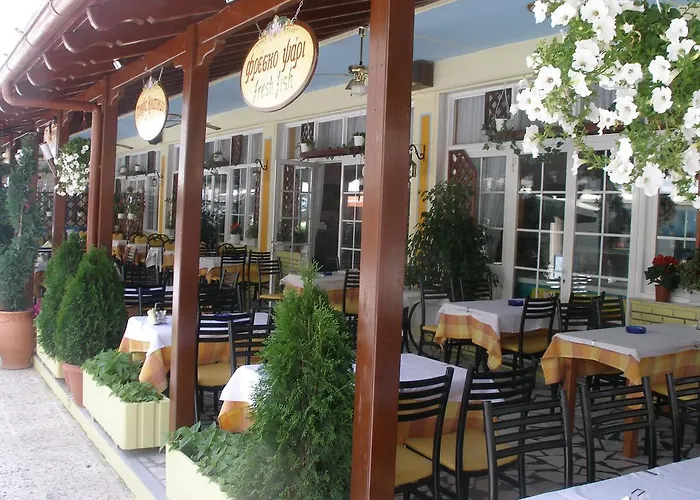 Hotel White Rose Olympiakí Aktí